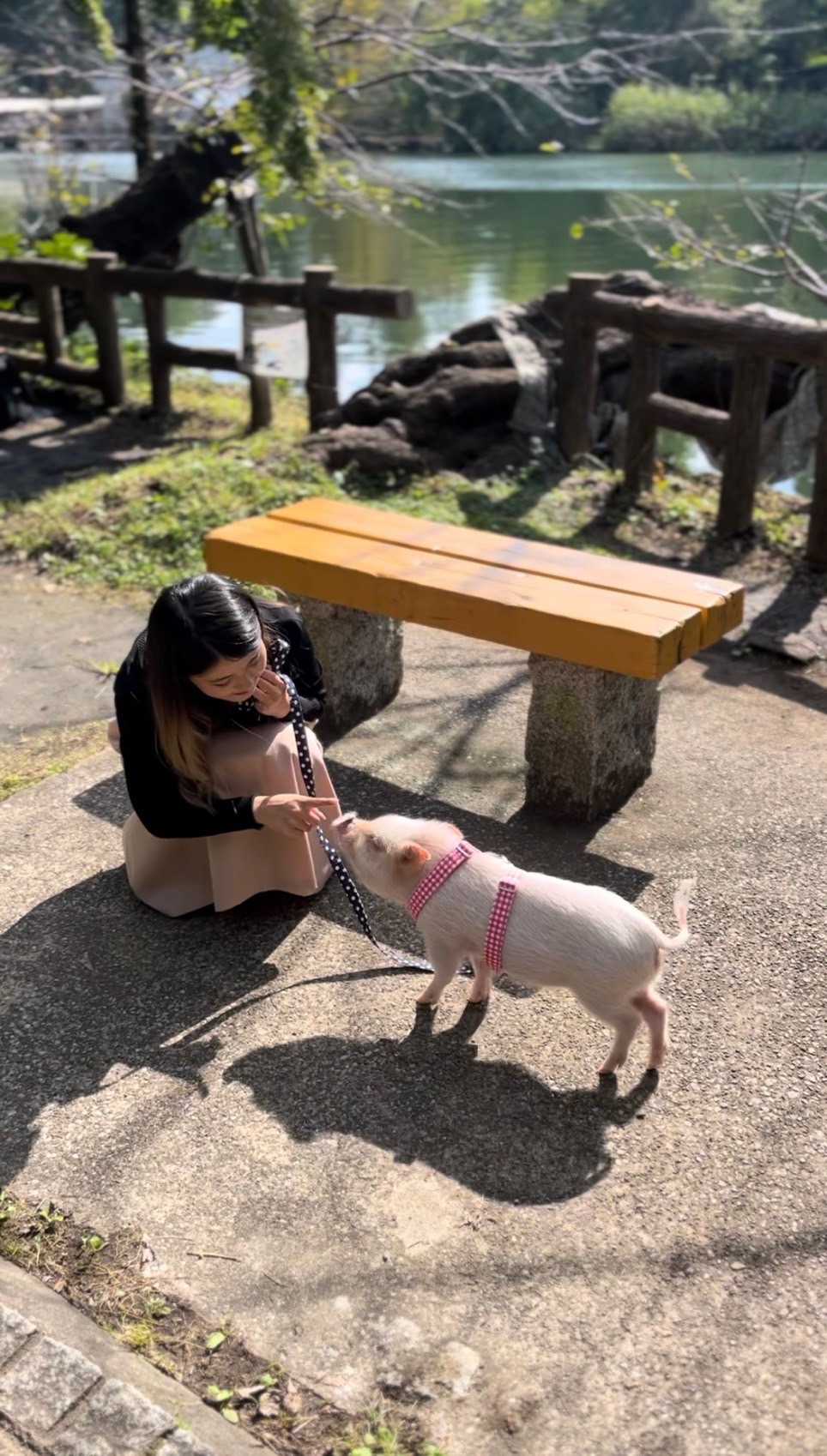 プランイメージ
