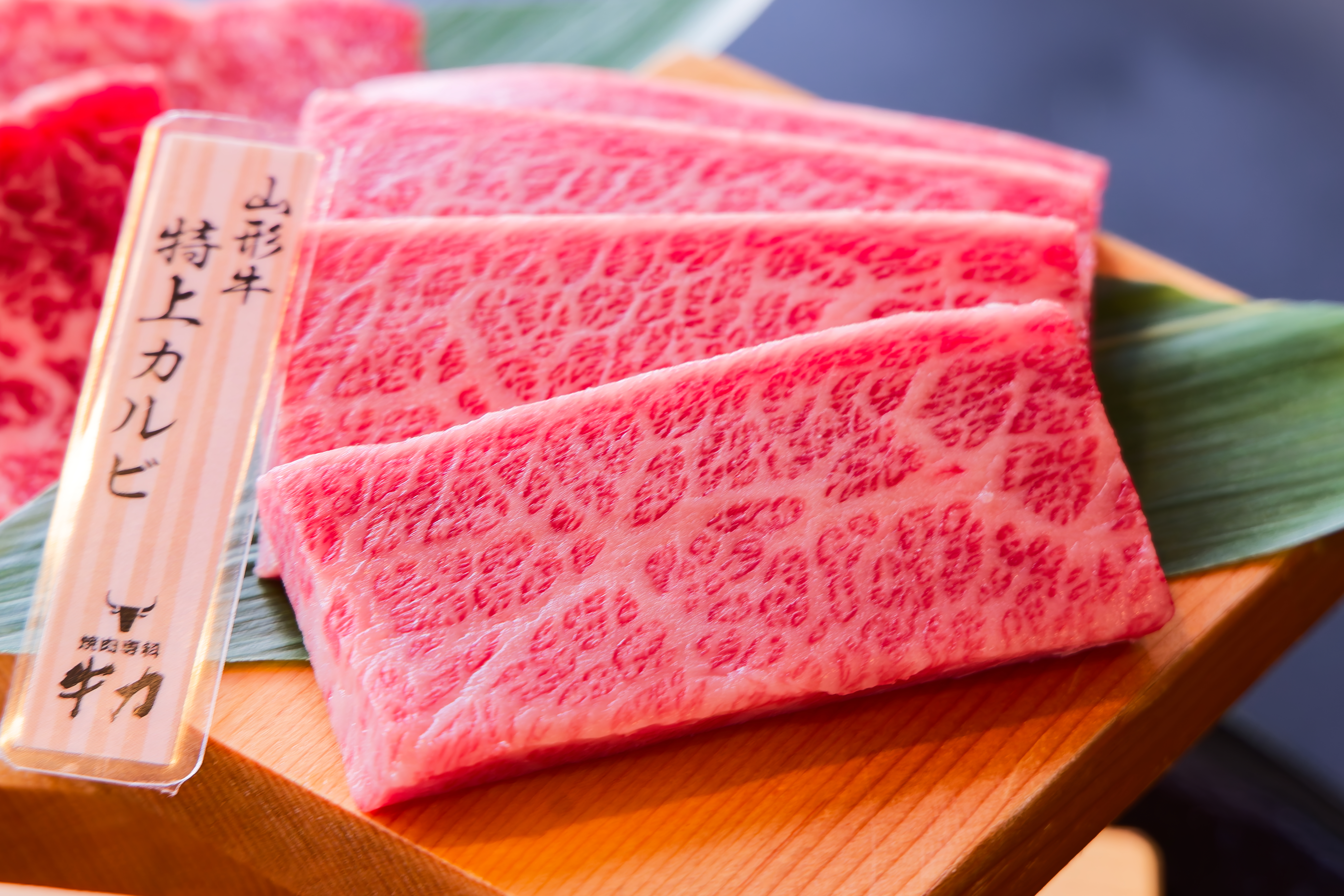 【公式】焼肉専科 牛力　WEB予約 logo