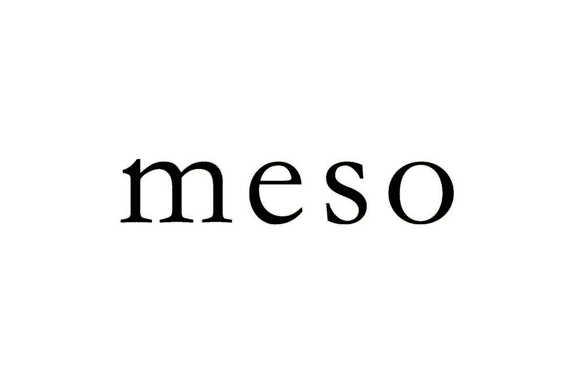 meso logo