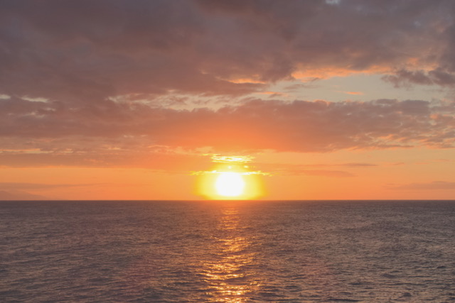 【公式】テラ・ロウリュ　ネット予約 logo