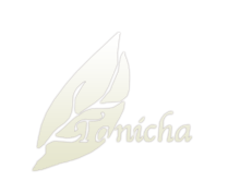 虎ノ門　タニーチャ logo